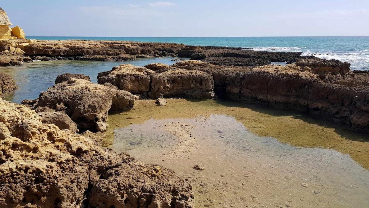 Albufeira Sea View Apartment Luaran gambar
