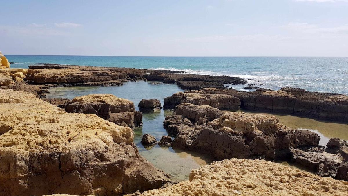 Albufeira Sea View Apartment Luaran gambar